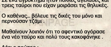 Οι αγελάδες και ο καινούριος ταύρος