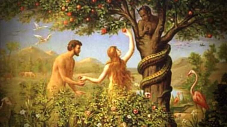 Ανέκδοτο: Η δημιουργία της γυναίκας