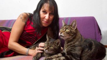 Ανέκδοτο: Ο παντρεμένος και η γάτα της γυναίκας του …! Τρελό γέλιο