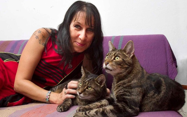 Ανέκδοτο: Ο παντρεμένος και η γάτα της γυναίκας του …! Τρελό γέλιο