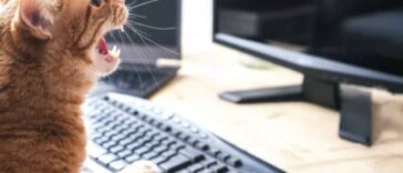 Ανέκδοτο: Οι Δημοσιογράφοι για computers και η λάμπα …!Τρελό γέλιο