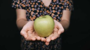 Ανεκδοτάρα: Οι απορίες του αγοριού και οι απαντήσεις των γονιών του