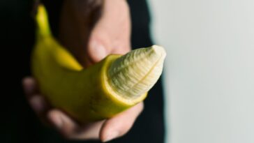 Σόκιν Ανέκδοτο με παρθένα: Ο τεμπέλης και ο χωριάτης με το μεγάλο…